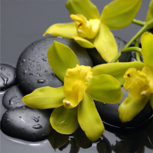 Orchideya Yellow 1